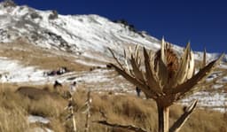 Resiliencia ante un aneurisma